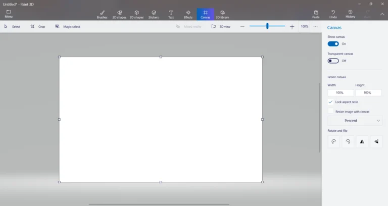Canvas and Workspace used in paint 3d