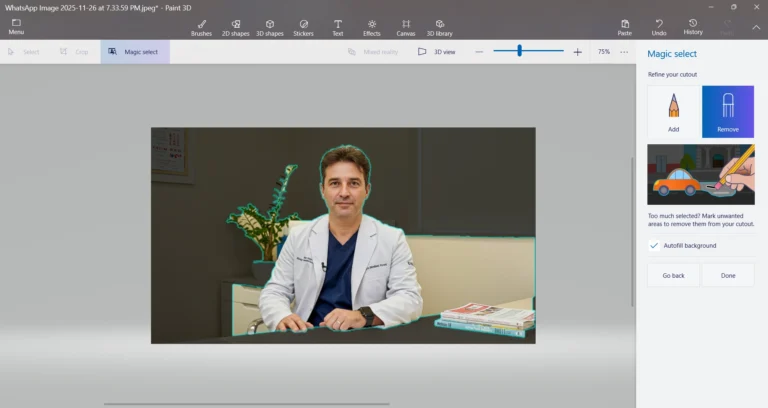 Magic Select and Background Removal image in paint 3d
